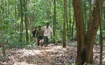 Khoán đất rừng cho dân rồi tìm cớ thu hồi