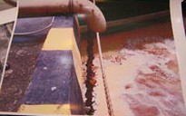 Yêu cầu đóng cửa nhà máy Vedan và xử ở mức cao nhất
