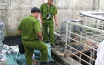 Hệ thống xử lý chất thải của Vedan chỉ để đối phó?