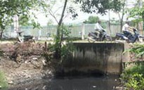 Xử phạt cho có, trách nhiệm vòng vo