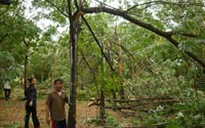 Bão số 7 đến sớm, thiệt hại không ít về người và của