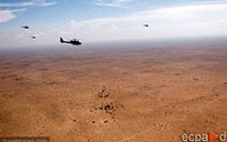 Đánh trả hay bó tay?