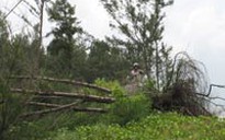 Biến đổi khí hậu đe dọa dân sinh