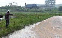 Nước thải đầu độc sông Chu