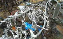 Tìm thấy xương cốt triệu phú Fossett?