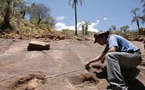 Tìm thấy dấu chân khủng long ở Nam Mỹ