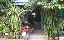 Nước mắt đấng sinh thành
