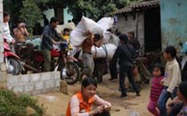 Vào sào huyệt hàng lậu