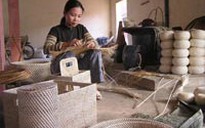 Thợ thủ công quay lại đồng ruộng