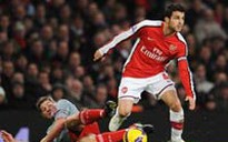 Fabregas không phải mổ chấn thương