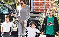 Victoria Beckham muốn con làm luật sư