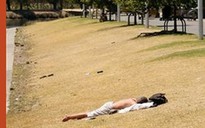 Australia: Nắng nóng kỷ lục lên tới 45 độ C