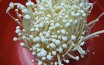 Món ăn thuốc từ nấm kim chi