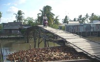 Nghèo khó giữa Tây Đô