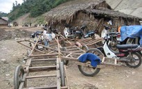 Lâm tặc đại náo