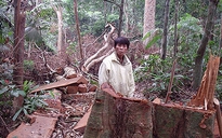 Tan hoang vùng giáp ranh