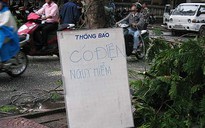 Cây bật gốc, tường sập, trụ đèn ngã