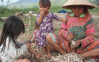 Tan tành giấc mộng đổi đời