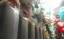 Quản lý hàng chợ: Cưỡi ngựa xem hoa!