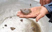 Phát hiện sinh vật lạ tại Vĩnh Phúc