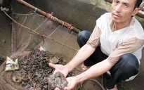 Bí ẩn sinh vật lạ Vĩnh Phúc