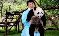 Thành Long nhận gấu trúc làm con nuôi