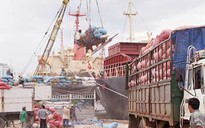 Trong 10 ngày sẽ giải tỏa hàng ùn ứ