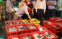 Kiểm tra việc buôn bán cá ngừ