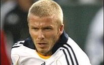 Beckham bị CĐV Mỹ tẩy chay