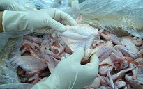 Trung tâm Thú y Vùng VI chối bỏ trách nhiệm