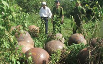 18 "vật thể lạ" trong rừng tràm