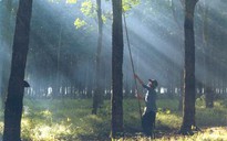 Biến vợ giám đốc thành cán bộ Nhà nước
