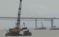Loạn xuất khẩu cát do luật “hở”