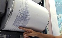 Nam Thái Bình Dương: Động đất liên tiếp, sóng thần hình thành