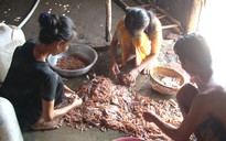 Đổ máu giành lãnh địa