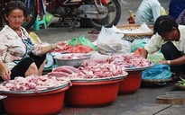 Tìm “nhạc trưởng” giữ an toàn thực phẩm