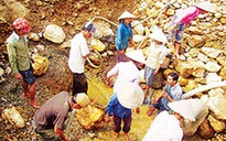 Chuyện đào vàng ở Khe Pu