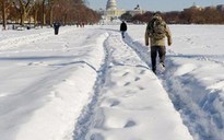 14 bang nước Mỹ  chìm trong bão tuyết