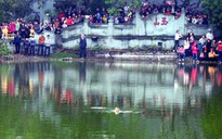 Cụ Rùa hồ Gươm nổi lần thứ 2 trong năm mới 2010