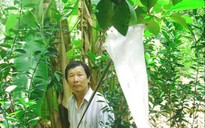 “Hai Lúa” ra chiêu