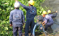 Tổng tấn công muỗi cầu Băng Ky