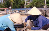 Bóng hồng cô quạnh