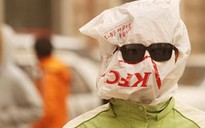 “Độc chiêu” né bão cát của dân Bắc Kinh