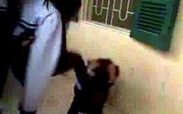 Thêm một clip “tra tấn” bạn học