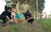 Thả động vật hoang dã về tự nhiên