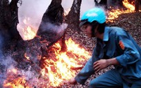 Tràm Chim Tam Nông vẫn cháy dữ dội