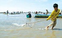 Khát vọng đổi đời