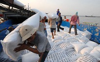 Nông dân lãi 30%, còn lâu!