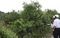 Chiếm dụng tiền tỉ của khách hàng
