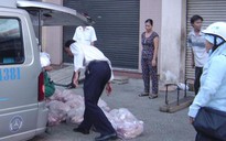 Heo bệnh tuồn vào TPHCM